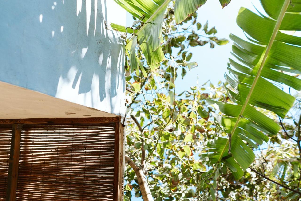 Вилла Tortuga Blue House In Banana Plantation Арукас Экстерьер фото