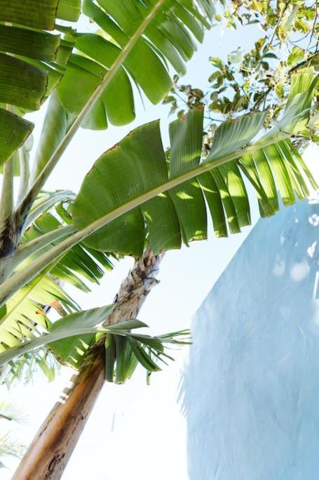 Вилла Tortuga Blue House In Banana Plantation Арукас Экстерьер фото